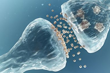 Układ endokannabinoidowy a konopie