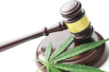 W UE i USA trwa prawna batalia o losy CBD