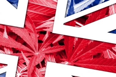Nowy premier Wielkiej Brytanii i legalizacja marihuany