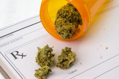 Partia Razem interweniuje w sprawie medycznej marihuany