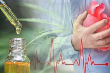 Czy olejek CBD powoduje kołatanie serca?