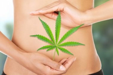 Olejek CBD a zwalczanie infekcji żołądkowo-jelitowych