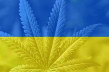 Ukraina – Obywatele chcą legalizacji medycznej marihuany