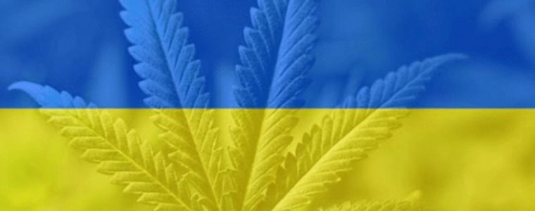 Obywatele Ukrainy chcą legalizacji medycznej marihuany