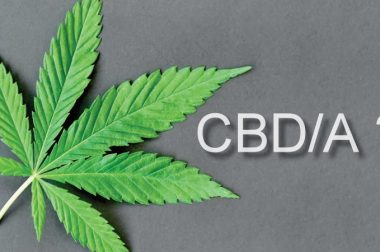 CBD a CBDA – Na czym polegają podobieństwa i różnice?