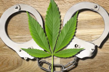 Uprawiał marihuanę dla chorego syna – Sprawę umorzono!