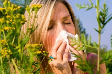 Produkty z olejkiem CBD na wiosenne alergie