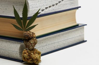 Książki i poradniki o konopiach, które musisz przeczytać