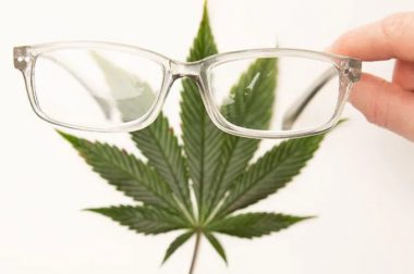 Czy warto stosować olej CBD na jaskrę?