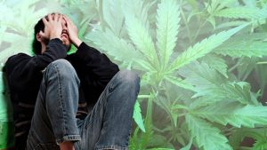 leczenie schizofrenii medyczną marihuaną