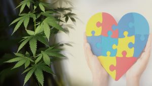 medyczna marihuana spektrum autyzmu
