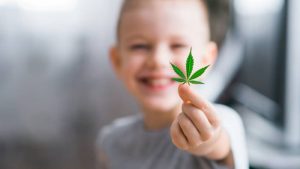 medyczna marihuana spektrum autyzmu