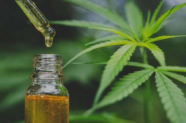 Fakty i mity na temat CBD