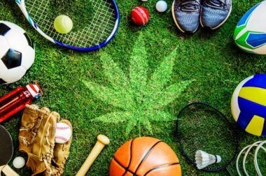 Olejek CBD i sport – wpływ kannabidiolu na organizm