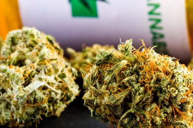 Konopny farmaceuta o medycznej marihuanie w aptekach