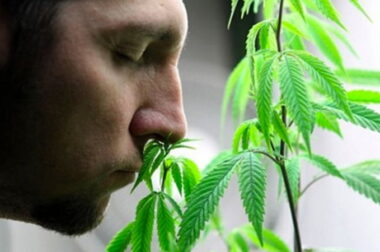 Wszyscy pytają – my odpowiadamy! Jak to jest być na haju?