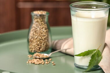 Mleko konopne i jego właściwości [PRZEPIS]