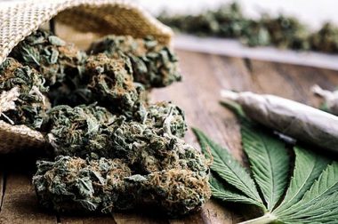 Czy marihuana niszczy mózg? Fakty i mity