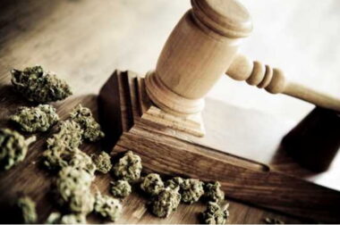 Wyrok byłego policjanta za marihuanę do celów leczniczych