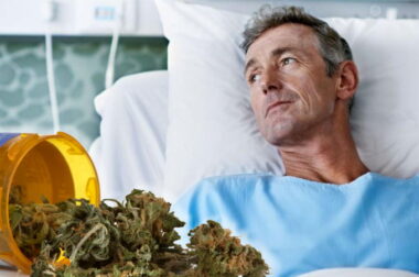 W polskich aptekach znowu brakuje medycznej marihuany