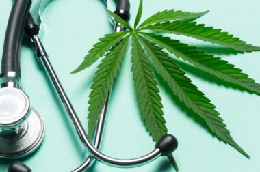 Cannabis Flos THC 8% CBD 8% wkrótce będzie w aptekach