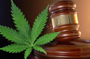 Uprawiał marihuanę do celów leczniczych – sąd umorzył sprawę