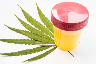 THC w moczu – jak długo jest wykrywalne?