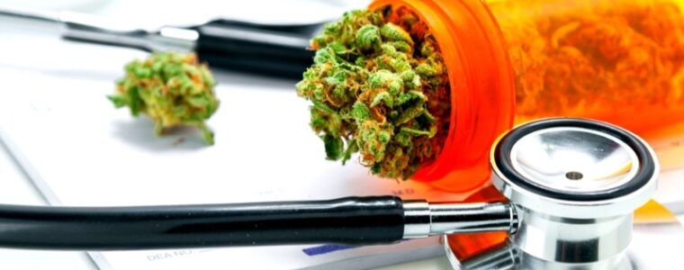 nowe odmiany medycznej marihuany