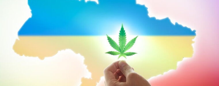 legalizacja medycznej marihuany na Ukrainie