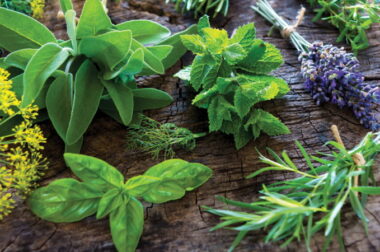 Czym zastąpić tytoń w spliffie? Z tym warto łączyć marihuanę