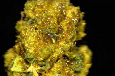 Sun Rock – co to jest i jak palić słoneczną skałę?