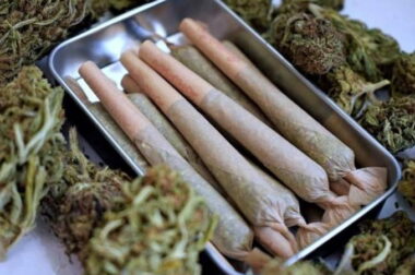 Czy susz CBD można palić?