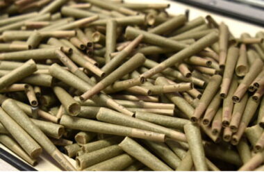 Co to jest pre-rolls i po czym poznać jego jakość?