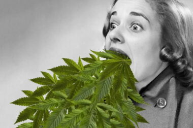 Syndrom niepowściągliwych wymiotów pokannabinoidowych (CHS)