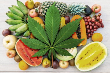 Konopie to warzywo, owoc, kwiat, a może zioło?