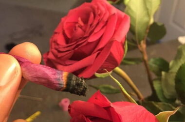 Co zamiast bletki? – Alternatywne sposoby skręcania jointa