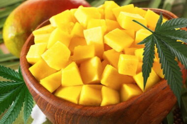 Marihuana i mango – owoc podkręcający moc zioła?