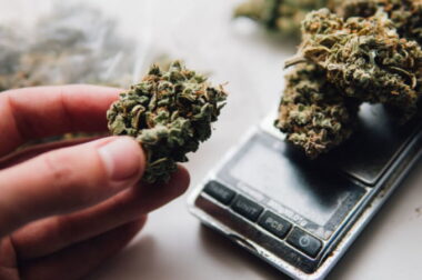 Jak zważyć zioło bez wagi? – Sposoby ważenia marihuany