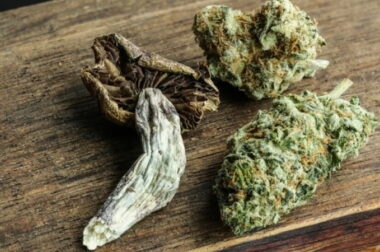 Konopie indyjskie i psylocybina – właściwości lecznicze