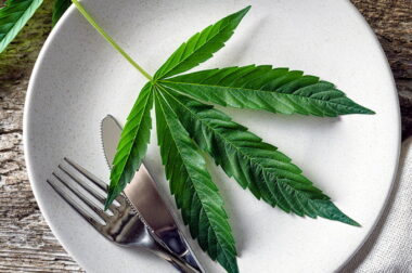 Wartości odżywcze konopi – czy można od nich przytyć?