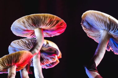 Psylocybina na depresję? – Jedna dawka łagodzi objawy
