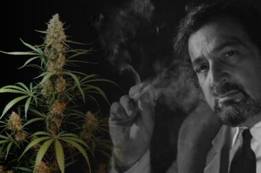 Jack Herer – człowiek legenda, ojciec chrzestny marihuany