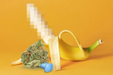 Marihuana i Viagra – i konar w końcu zapłonie?