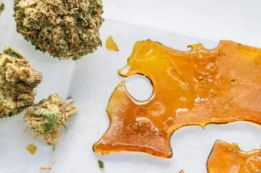 Jak przechowywać koncentraty konopne?