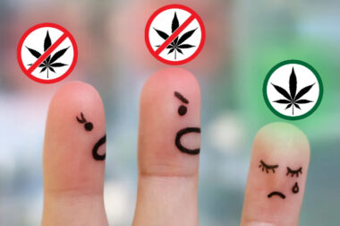 Jak rozmawiać z rodzicami o marihuanie?