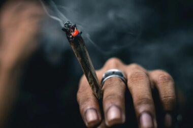 Wysoka tolerancja THC? Te odmiany są dla Ciebie!