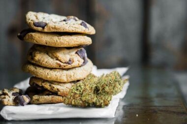 Girl Scout Cookies – medyczna marihuana od S-Lab (III)