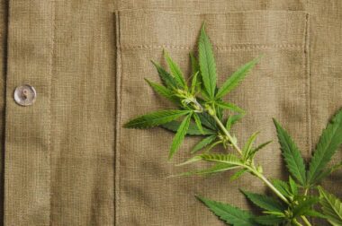 Konopie i moda – wpływ zielonego liścia na nasz ubiór