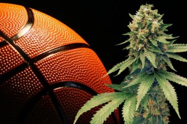 Gracze NBA będą mogli palić marihuanę
