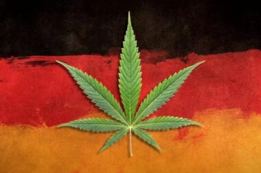 Niemiecki rząd zatwierdził legalizację marihuany rekreacyjnej